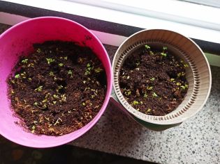 Fotografie 1645540371958_1_original.jpg