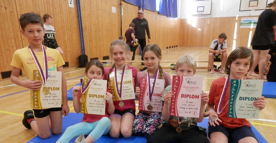 Závody ve šplhu na tyči