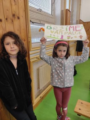 Fotografie img_20220310_135716-1647004576_1_original.jpg