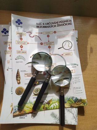 Fotografie img_20220315_140248_1_original.jpg