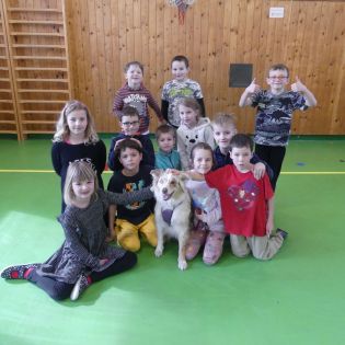 Fotografie p1170123_3_original.jpg