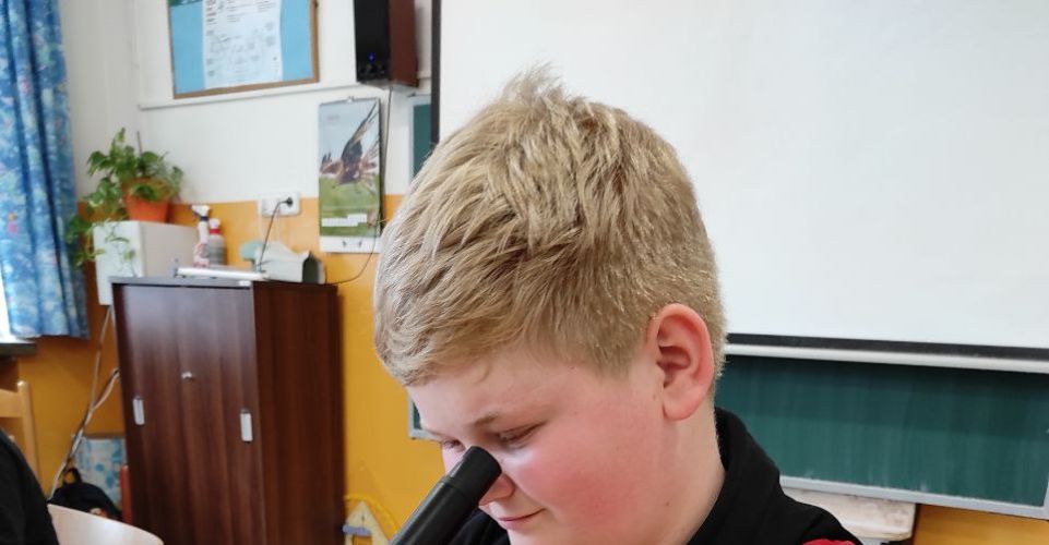 Návštěva našich páťáků v ZŠ Videčská