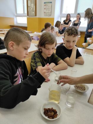 Fotografie photo_2022-03-29_13-33-29_1_original.jpg