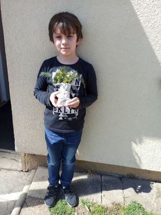 Fotografie img_20220413_132209-4_original.jpg