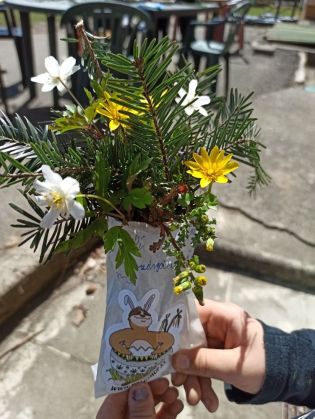 Fotografie img_20220413_132230-3_original.jpg