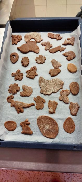 Fotografie img_20220413_083450_original.jpg