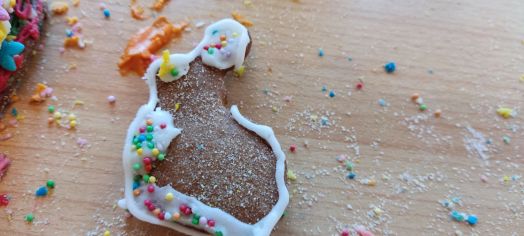 Fotografie img_20220413_100057_original.jpg