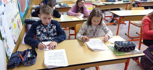 Fotografie img_20220412_091545_original.jpg