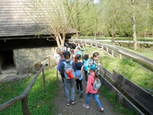 Fotografie p5050109_1_original.jpg