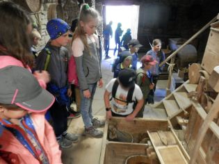 Fotografie p5050112_1_original.jpg