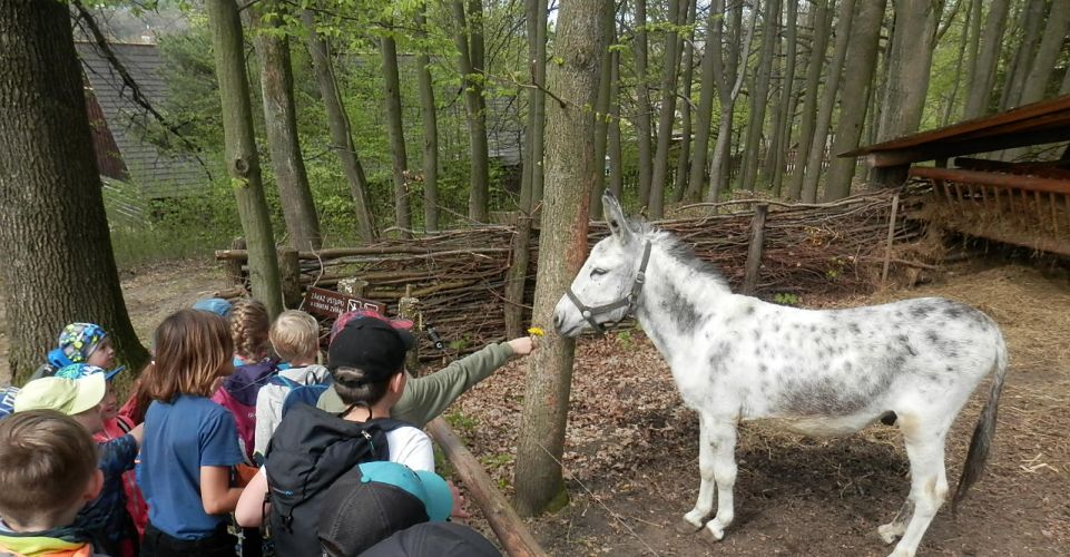 Návštěva Valašského muzea v přírodě