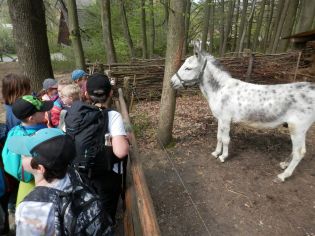 Fotografie p5050124_1_original.jpg