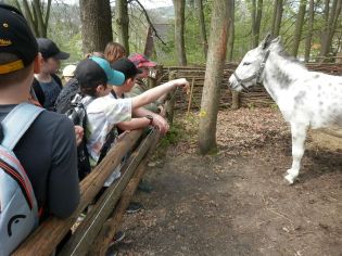 Fotografie p5050126_1_original.jpg