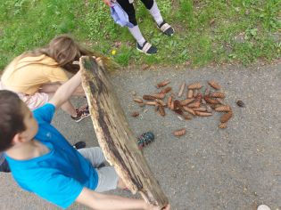 Fotografie 20220512_112228_1_original.jpg