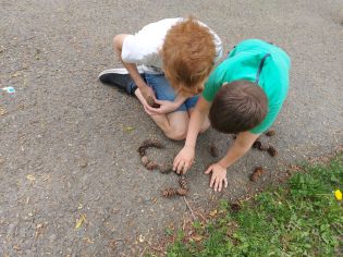 Fotografie 20220512_112246_1_original.jpg