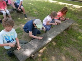 Fotografie p5200142_1_original.jpg