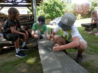 Fotografie p5200147_1_original.jpg