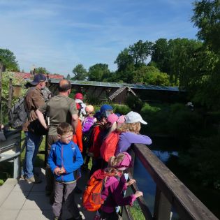 Fotografie p1170348_1_original.jpg