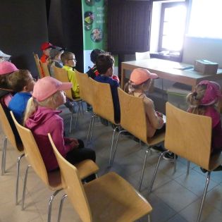 Fotografie p1170349_1_original.jpg