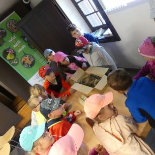 Fotografie p1170353_1_original.jpg