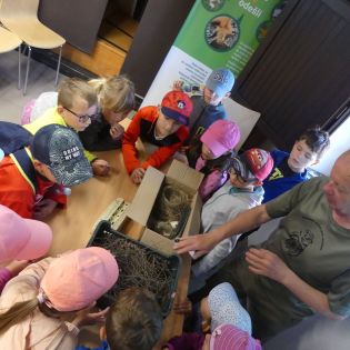 Fotografie p1170354_1_original.jpg