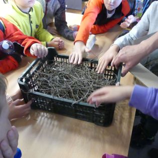 Fotografie p1170355_1_original.jpg