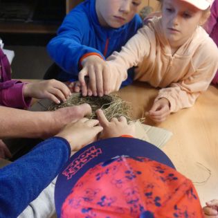 Fotografie p1170356_1_original.jpg