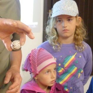 Fotografie p1170360_1_original.jpg