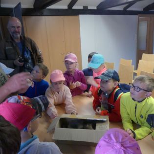 Fotografie p1170364_1_original.jpg