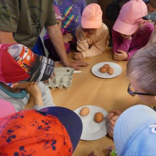 Fotografie p1170368_1_original.jpg