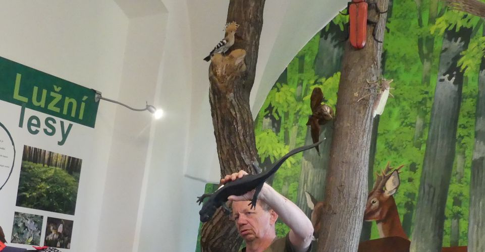 Návštěva Záchranné stanice v Bartošovicích