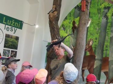 Foto k aktualitě Návštěva Záchranné stanice v Bartošovicích