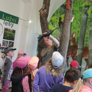 Fotografie p1170373_3_original.jpg