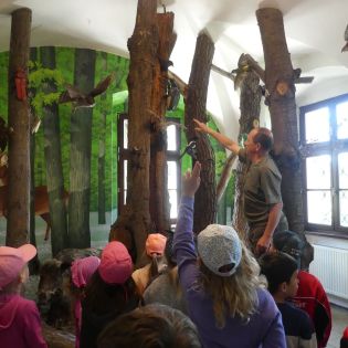 Fotografie p1170374_1_original.jpg