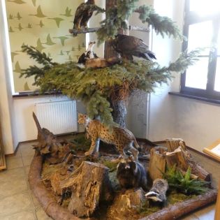 Fotografie p1170375_1_original.jpg