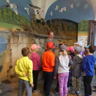 Fotografie p1170376_1_original.jpg