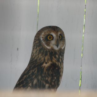 Fotografie p1170378_1_original.jpg