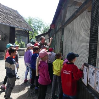 Fotografie p1170380_1_original.jpg