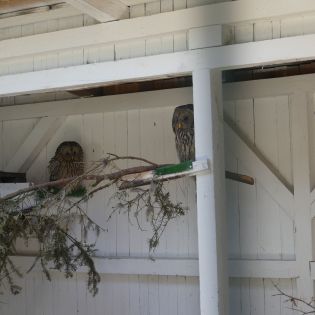 Fotografie p1170390_1_original.jpg