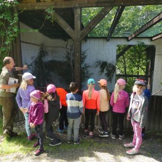 Fotografie p1170392_1_original.jpg