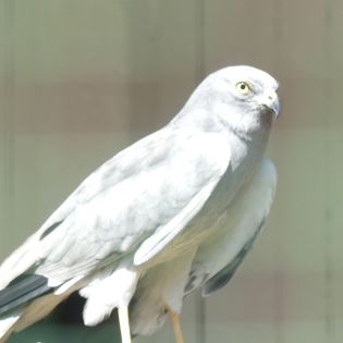 Fotografie p1170399_1_original.jpg