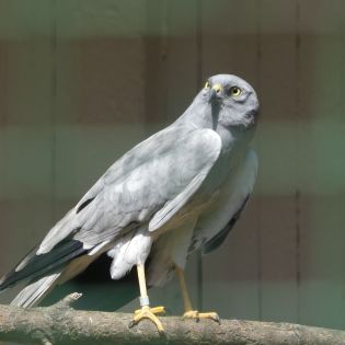 Fotografie p1170400_1_original.jpg