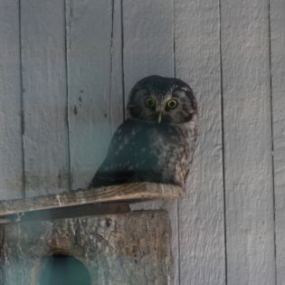 Fotografie p1170401_1_original.jpg