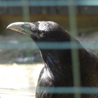 Fotografie p1170403_1_original.jpg