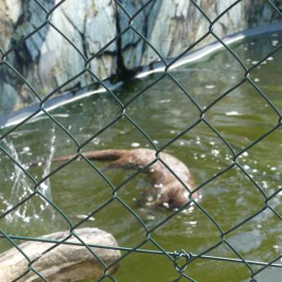 Fotografie p1170409_1_original.jpg