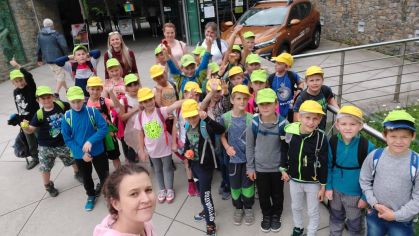 Fotografie img-20220526-wa0012_1_original.jpg