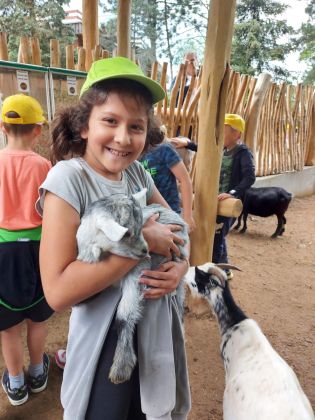 Fotografie img-20220526-wa0017_3_original.jpg