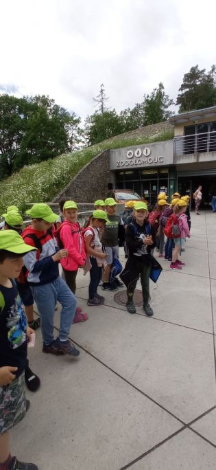 Fotografie img_20220526_110035_1_original.jpg