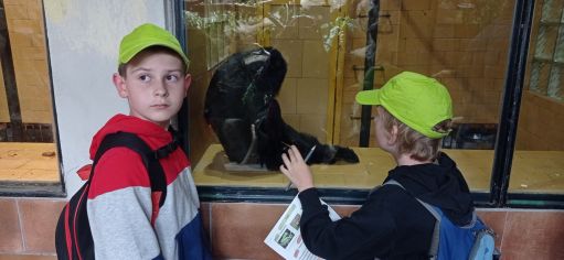 Fotografie img_20220526_112833_1_original.jpg