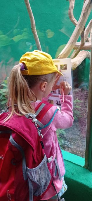 Fotografie img_20220526_113054_1_original.jpg